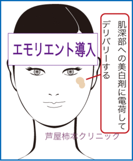 ビアhく.gif