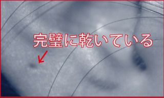 ピアス完璧.jpg