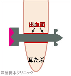 ピアス3.jpg