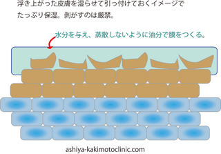 保湿5.jpg