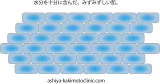 保湿1.jpg