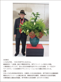 吉田先生プロフィール.gif