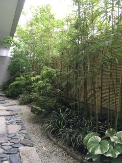 名刺用庭写真.jpg