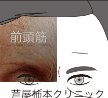 名称未設定-1.gif