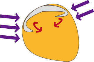 E59CA7E381ABE38288E3828BE5B7BBE3818DE788AA-thumbnail2.jpg
