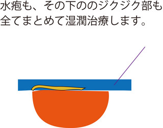 湿潤断面.jpg