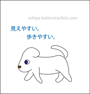 目のイボ8芦屋柿本.jpg