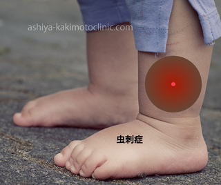 E899ABE588BAE79787-26a0d-thumbnail2.jpg