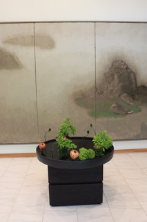 IMG_0448.jpg
