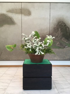 IMG_1567.jpg
