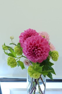 IMG_2393.jpg