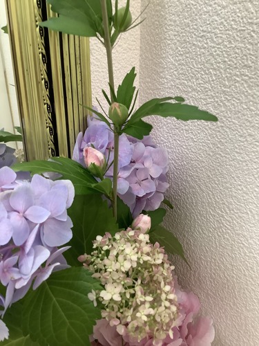 IMG_3858.jpeg