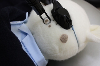 IMG_6906-thumbnail2-thumbnail2.jpg