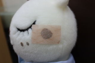 IMG_6952-thumbnail2.jpg