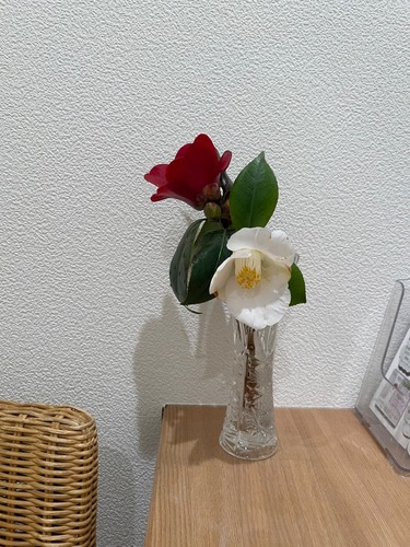 IMG_7339.jpeg