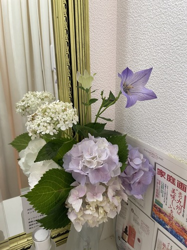 IMG_8107.jpeg