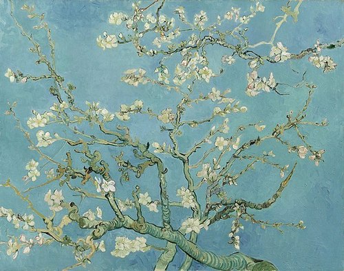Vincent_van_Gogh_-_Almond_blossom_-_Google_Art_Project.jpg