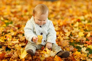 autumn-165184_1280.jpg
