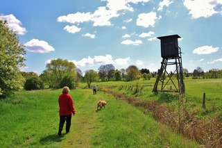 hiking-338228_1280.jpg