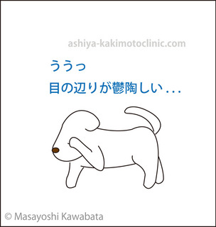 menoibo1芦屋柿本.jpg