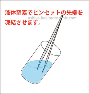 menoibo3芦屋柿本お.jpg