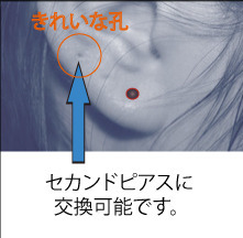 piasu2.jpg