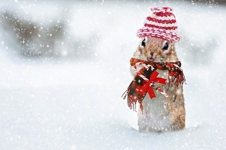 winter-2926825_640.jpg